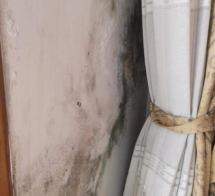 ����Ǽ��b�≦���أ���������Љ��ڰl(f��)ù����ô������